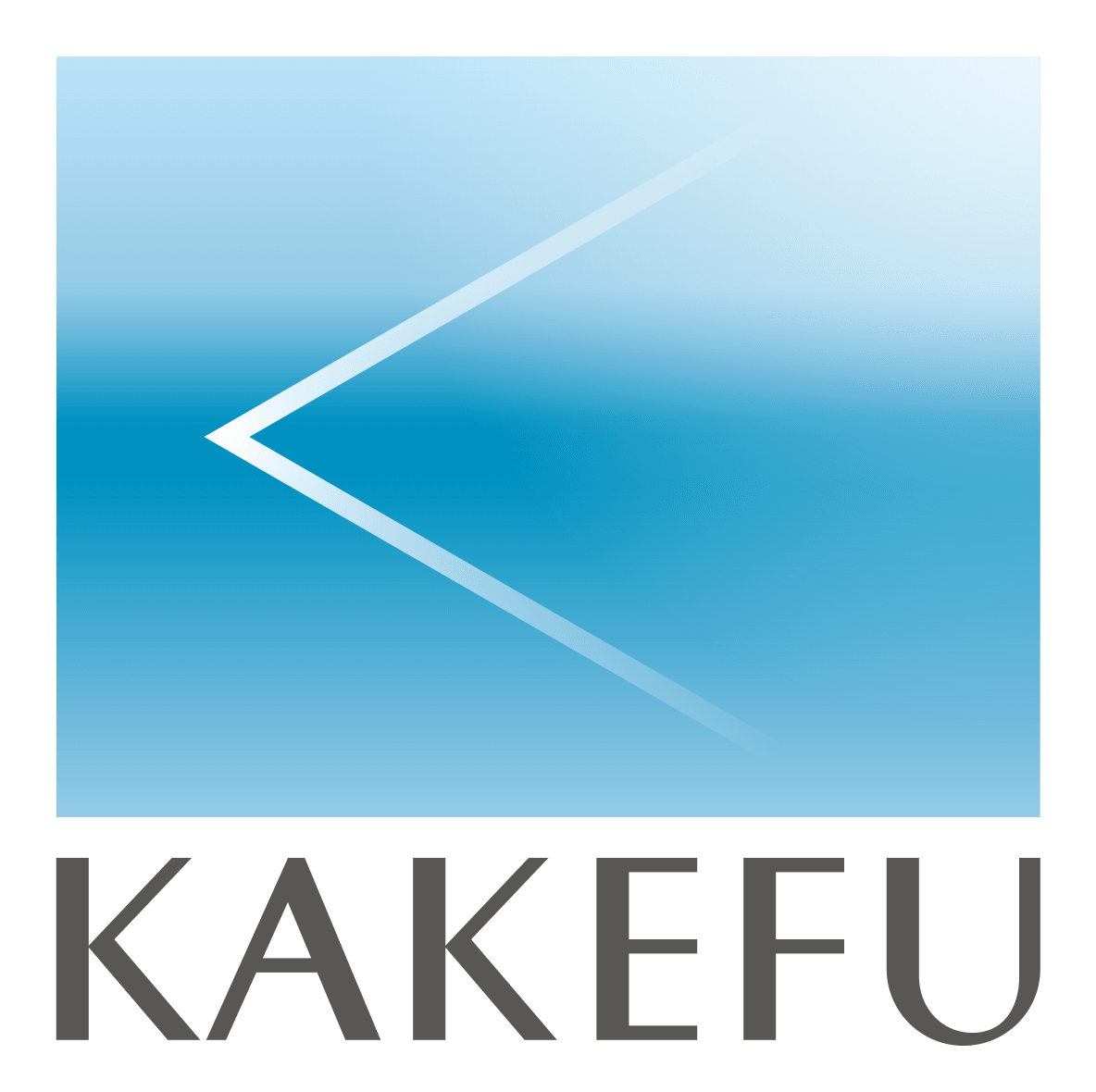 カケフホールディングス